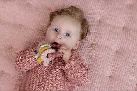 little dutch bijtring