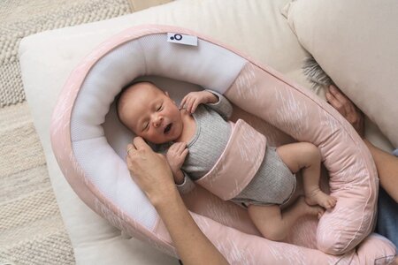 doomoo babynest