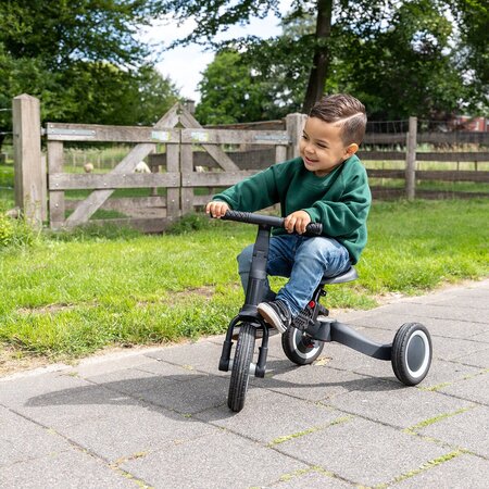 3 wieler loopfiets