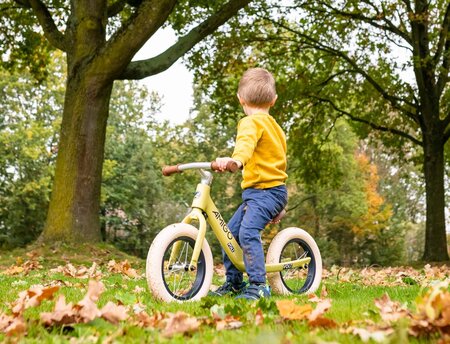 amigo loopfiets
