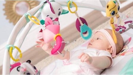 babygym tiny love